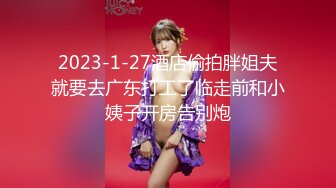 2023-1-27酒店偷拍胖姐夫就要去广东打工了临走前和小姨子开房告别炮