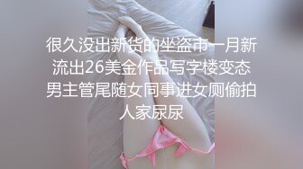 【三级】《华丽的外出》