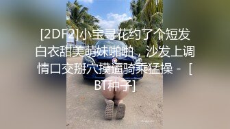 高跟丝袜露脸微SM,小骚逼的情趣性生活三个洞都可以玩