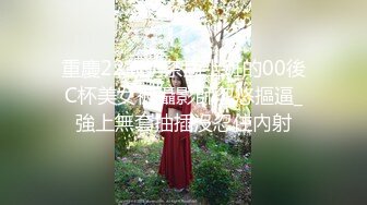 大奶妹，手势验证