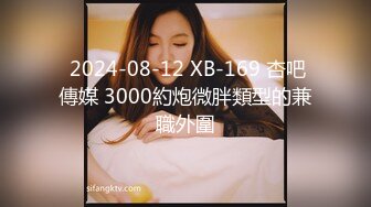  2024-08-12 XB-169 杏吧傳媒 3000約炮微胖類型的兼職外圍