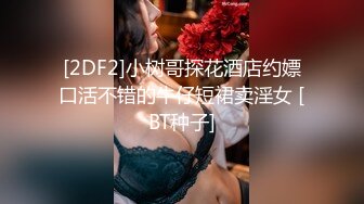 STP31647 天美传媒 TMQ005 小母狗技师的JK制服诱惑 VIP0600