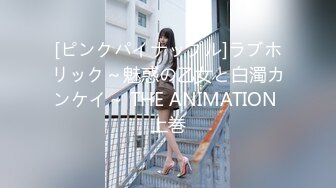 [ピンクパイナップル]ラブホリック～魅惑の乙女と白濁カンケイ～ THE ANIMATION 上巻