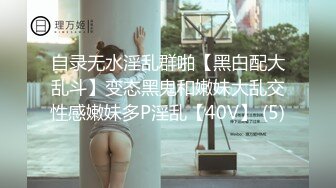 你的可爱小女仆已上线