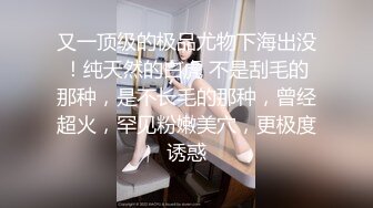 BJ佩尔西恩230812-7