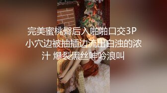 完美蜜桃臀后入啪啪口交3P 小穴边被抽插边流出白浊的浓汁 爆裂黑丝呻吟浪叫