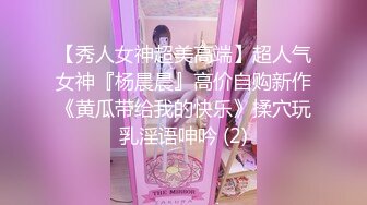 亚洲AV无码国产精品色字幕