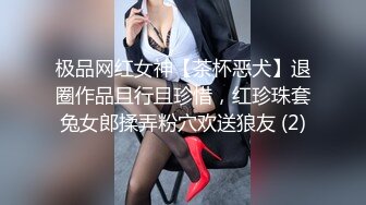 极品网红女神【茶杯恶犬】退圈作品且行且珍惜，红珍珠套兔女郎揉弄粉穴欢送狼友 (2)