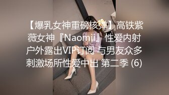 【爆乳女神重磅核弹】高铁紫薇女神『Naomii』性爱内射户外露出VIP订阅 与男友众多刺激场所性爱中出 第二季 (6)