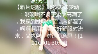 越南航空飞行员与嫩模女友性爱私密视频流出