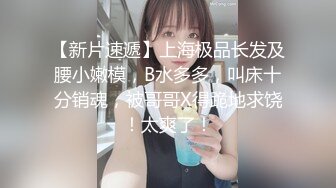 海口新燕泰后入骚货，叫声淫荡。