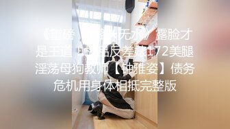 河南茶叶妹妹