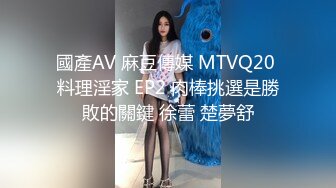 麻豆传媒 MCY-0027《空姐女友被强暴》-苏清歌