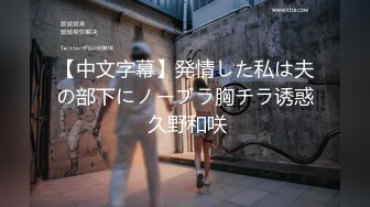 【中文字幕】発情した私は夫の部下にノーブラ胸チラ诱惑 久野和咲