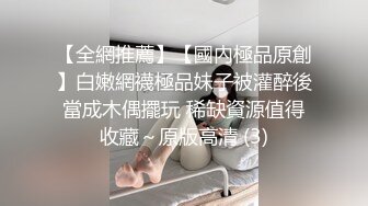   洋老外探访性都东莞之网袜猫咪装小野模