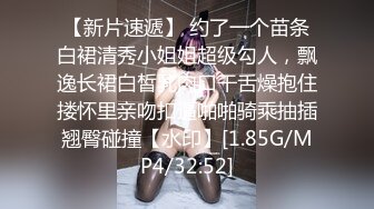 海边搭讪超极品女神！【户外挑战】成功拿下！无套插入，太他妈爽了！有的直接带回家多人运动