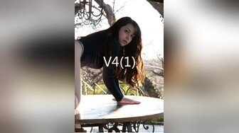 chv-013(17chv00013)[ruby]昭和性犯罪白書昭和79〜84版