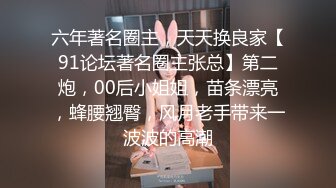 麻豆传媒女神乱爱MSD-071《少爷的乖女仆》无套操干湿润骚穴 清新女神袁子仪