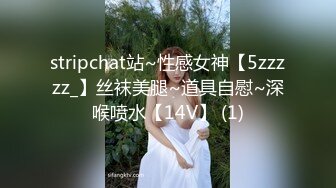 stripchat站~性感女神【5zzzzz_】丝袜美腿~道具自慰~深喉喷水【14V】 (1)