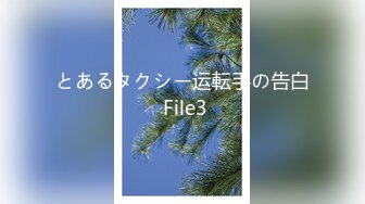 とあるタクシー运転手の告白 File3