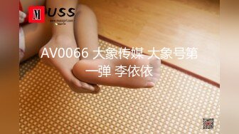 AV0066 大象传媒 大象号第一弹 李依依