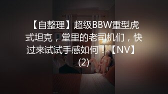 【自整理】超级BBW重型虎式坦克，堂里的老司机们，快过来试试手感如何！【NV】 (2)