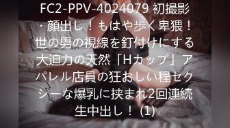 FC2-PPV-4024079 初撮影・顔出し！もはや歩く卑猥！世の男の視線を釘付けにする大迫力の天然「Hカップ」アパレル店員の狂おしい程セクシーな爆乳に挟まれ2回連続生中出し！ (1)