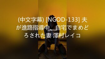 (中文字幕) [NGOD-133] 夫が進路指導中、自宅でまめどろされた妻 澤村レイコ