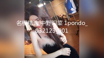 名模精选 中野阳菜 1pondo_032123_001